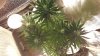 20150929_113009.jpg 20150929_113009.jpg