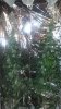 20151001_225152.jpg