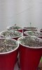 20151002_123510.jpg