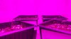 20151005_101101.jpg