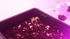 20151005_101537.jpg