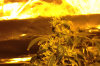 download (2).png