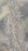 20151004_213415.jpg