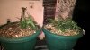 WP_20151005_10_55_26_Rich_noexif.jpg