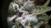 WP_20151005_10_11_02_Rich_noexif.jpg WP_20151005_10_11_02_Rich_noexif.jpg