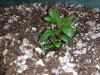 20151006_131539.jpg