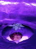 Future Mom 2.png