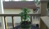 20151008_173058.jpg