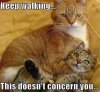 kittyheadlock.jpg