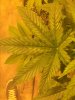 leaf 1.JPG