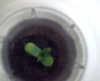 01-22-09_1820.jpg