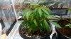 20151015_105549.jpeg