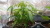 20151015_105545.jpeg