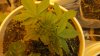 babes oct 005.JPG