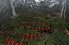 DSC_0005.jpg DSC_0005.jpg