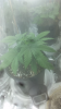 Screenshot_2015-10-19-13-52-23.png Screenshot_2015-10-19-13-52-23.png