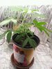 20150922_151232.jpg