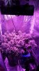 20151019_200603.jpg