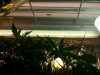 20151020_133205.jpg
