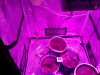 IMG_20151023_132734.jpg