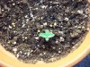 100_0317.jpg