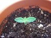 100_0321.jpg