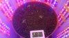 WP_20150925_007.jpg WP_20150925_007.jpg