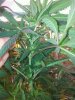 20151104_160614.jpg