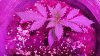 20151107_094406.jpg