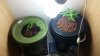 20151102_213558.jpg