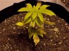 100_6897.jpg