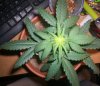 100_2704.JPG