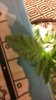 IMAG0218.jpg