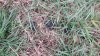 pics of mid nov 001.JPG
