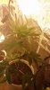 20151117_174916.jpg