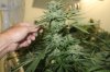 6 weeks Flower (6).JPG