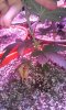 20151127_083344.jpg