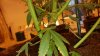 20151129_194238.jpg