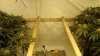 DSC00070.JPG