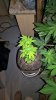 WP_20151203_21_18_27_Rich.jpg