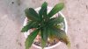 20151206_100231.jpg