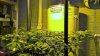 WP_20151207_08_39_08_Rich.jpg