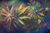 tumblr_n7txbb5wDx1t9tak1o1_500.gif