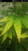 Screenshot_2015-12-08-14-20-06.png Screenshot_2015-12-08-14-20-06.png