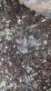 20151209_135623.jpg