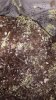 20151209_135617.jpg