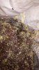 20151209_135613.jpg