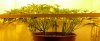 2015-12-12_sideview.JPG