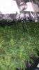 20151212_163900.jpg 20151212_163900.jpg