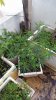 20151213_064733.jpg